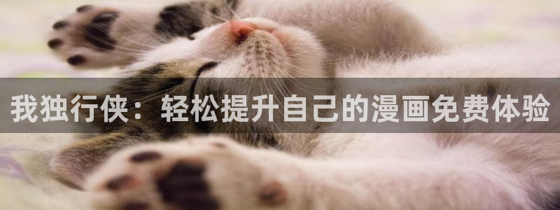 虫虫漫画怎么免费看全集：我独行侠：轻松提升自己的漫画免费体验