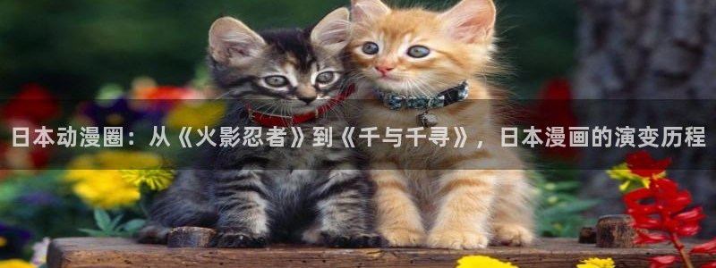 虫虫漫画下载app：日本动漫圈：从《火影忍者》到《千与千寻》，日本漫画的演变历程