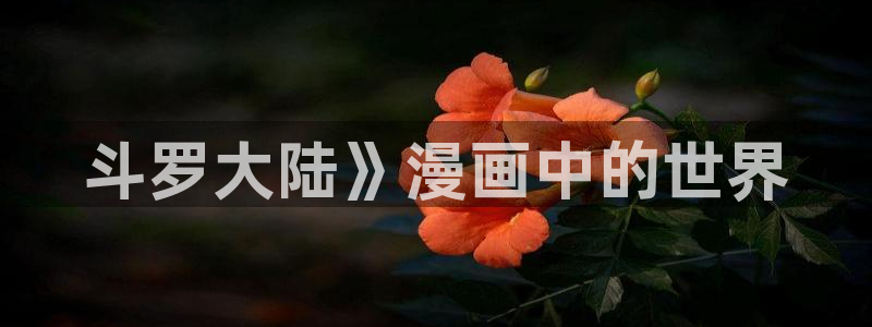 虫虫漫画免费在线看：斗罗大陆》漫画中的世界