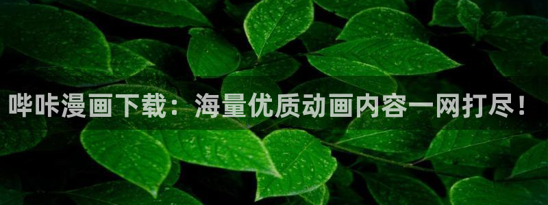 虫虫漫画视频：哔咔漫画下载：海量优质动画内容一网打尽！