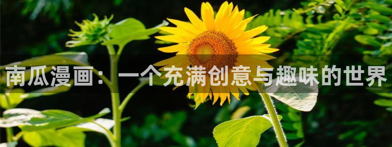 虫虫漫画hh