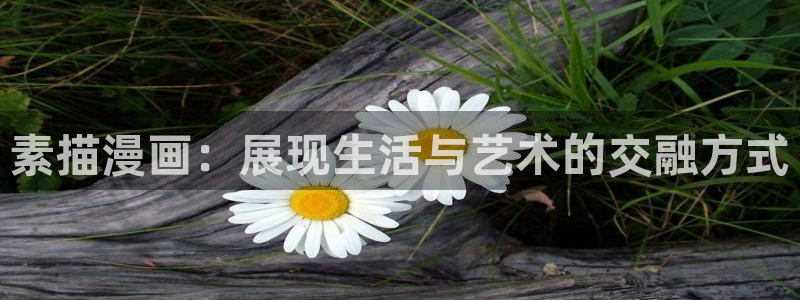 元尊漫画虫虫漫画网