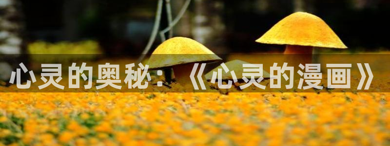 《虫虫漫画》