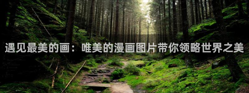 虫虫漫画在线免费漫画