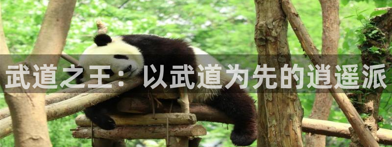 虫虫妖精漫画网免费阅读