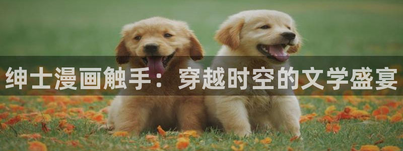 虫虫漫画网