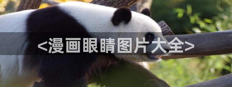 虫虫漫画韩国在线观看：<漫画眼睛图片大全>