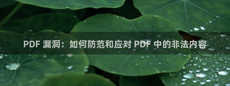 虫虫漫画无遮挡：PDF 漏洞：如何防范和应对 PDF 中的非法内容